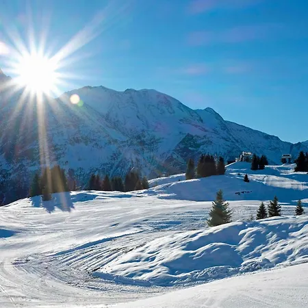 Jardins D'androsace * Chamonix